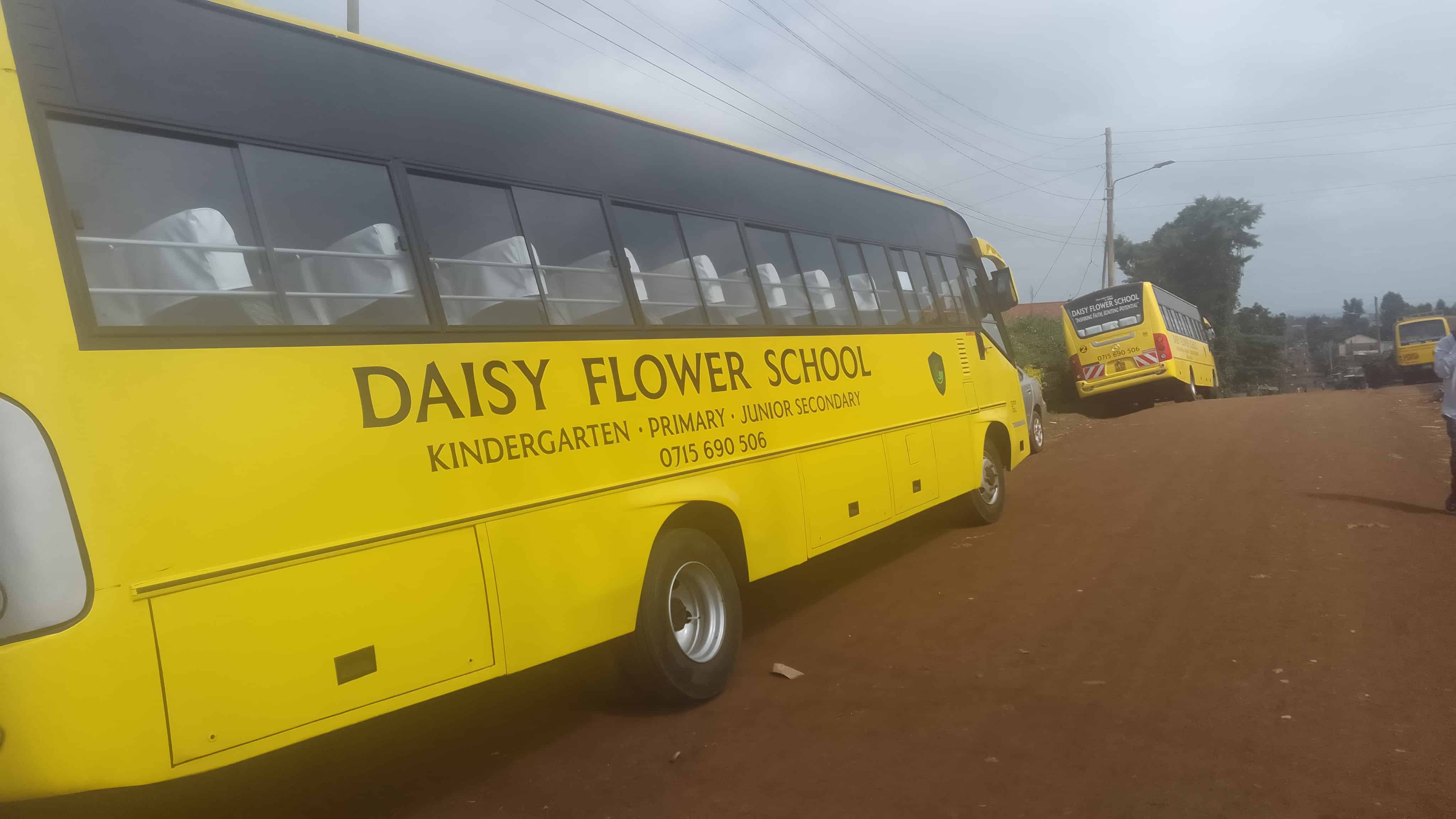 Daisy School bus parked on a road-side